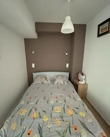 Apartment Le Rosasien - Illa De
